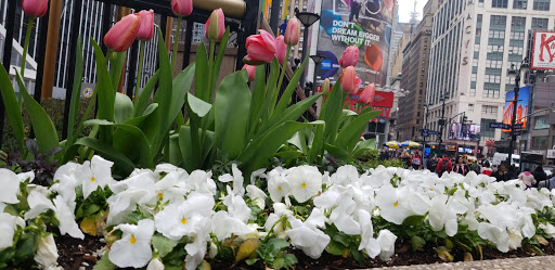 Arena «Madison Square Garden», reviews and photos, 4 Pennsylvania Plaza, New York, NY 10001, USA