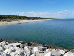 Foto von Lido di Classe - beliebter Ort unter Entspannungskennern