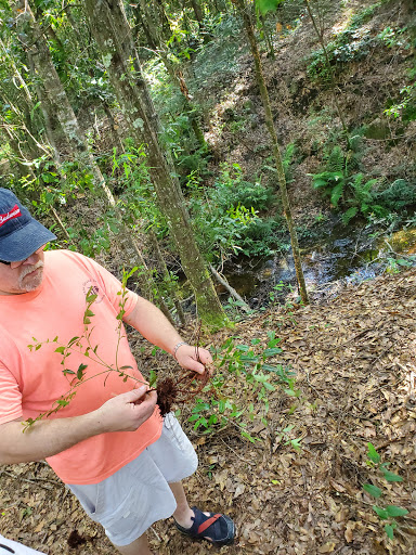 Park «Crestview Park», reviews and photos, 1600 Roland Dr, Mobile, AL 36693, USA