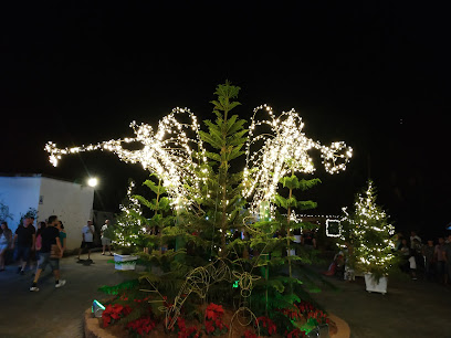 Weihnachtsfest Festa de Natal em Pomerode-SCCentro, Pomerode - SC, 89107-000