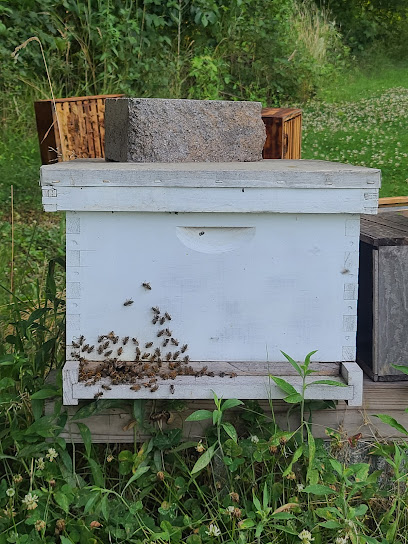 Honey Bee Removal/Rescue & Relocation