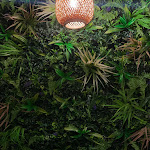 Photo n°1 de l'avis de Angela.a fait le 08/02/2024 à 22:45 sur le  Pokelty à Quattromiglia