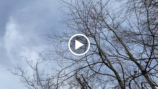 Nature Preserve «Thistlethwaite Falls», reviews and photos, 65 Waterfall Rd, Richmond, IN 47374, USA