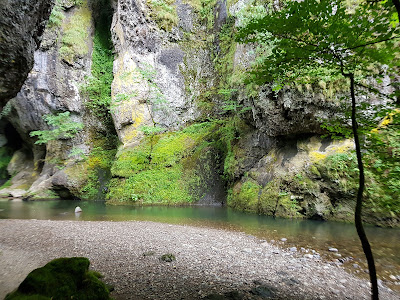 Gorges Du Pas De Cere à Thiézac