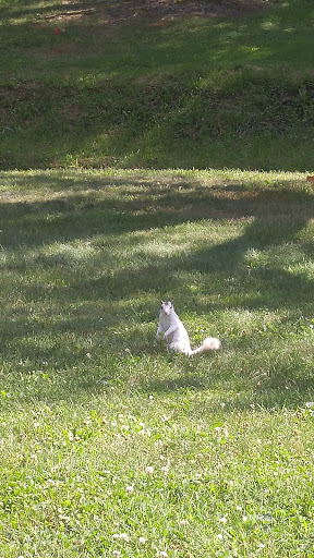 College «Brevard College», reviews and photos