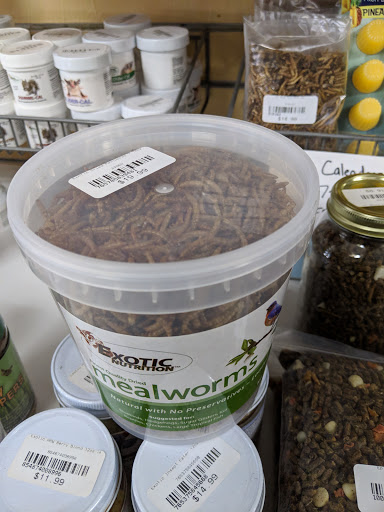 Pet Store «Everything Pets», reviews and photos, 1506 Altamont Ave, Schenectady, NY 12303, USA