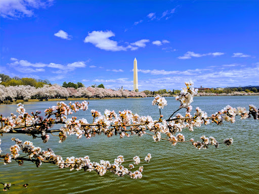 Memorial Park «Martin Luther King, Jr. Memorial», reviews and photos, 1964 Independence Ave SW, Washington, DC 20024, USA