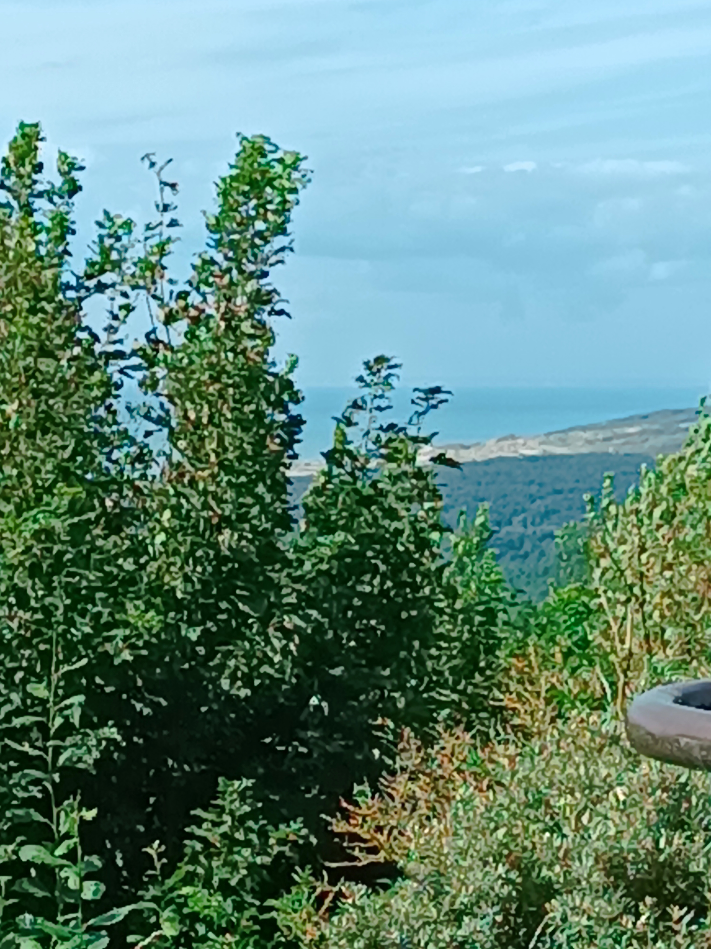 Photo n° 10 de l'avis de marie.u fait le 09/08/2023 à 10:20