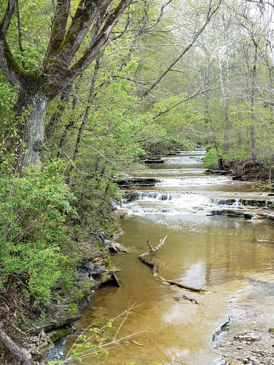 Winery «The Little Kentucky River Winery», reviews and photos, 3289 US-421, Bedford, KY 40006, USA
