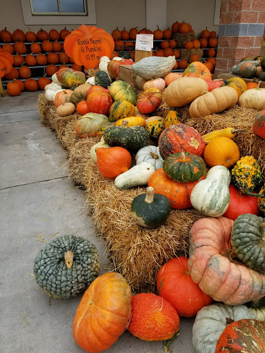 Shopping Mall «The Shops at Stonewall», reviews and photos, 8297 Stonewall Shops Square, Gainesville, VA 20155, USA