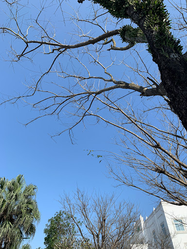 Top 10 cửa hàng đồ gỗ Huyện Đảo Cồn cỏ Quảng Trị 2022