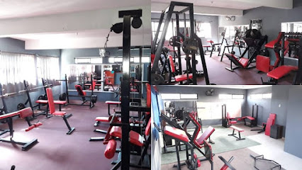 WorkHouse Gym - ALFREDO V BONFIL 2303, Serapio Venegas, 89600 Tamps., Mexico