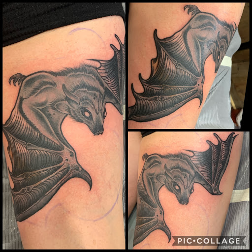 Explore sand dollar tattoo ideas, creative tattoo ideas in Cape Coral, available at UNRIVALED INK