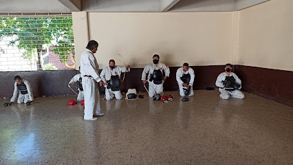 Asociación de Nippon Kempo del estado de Sinaloa, A.C.