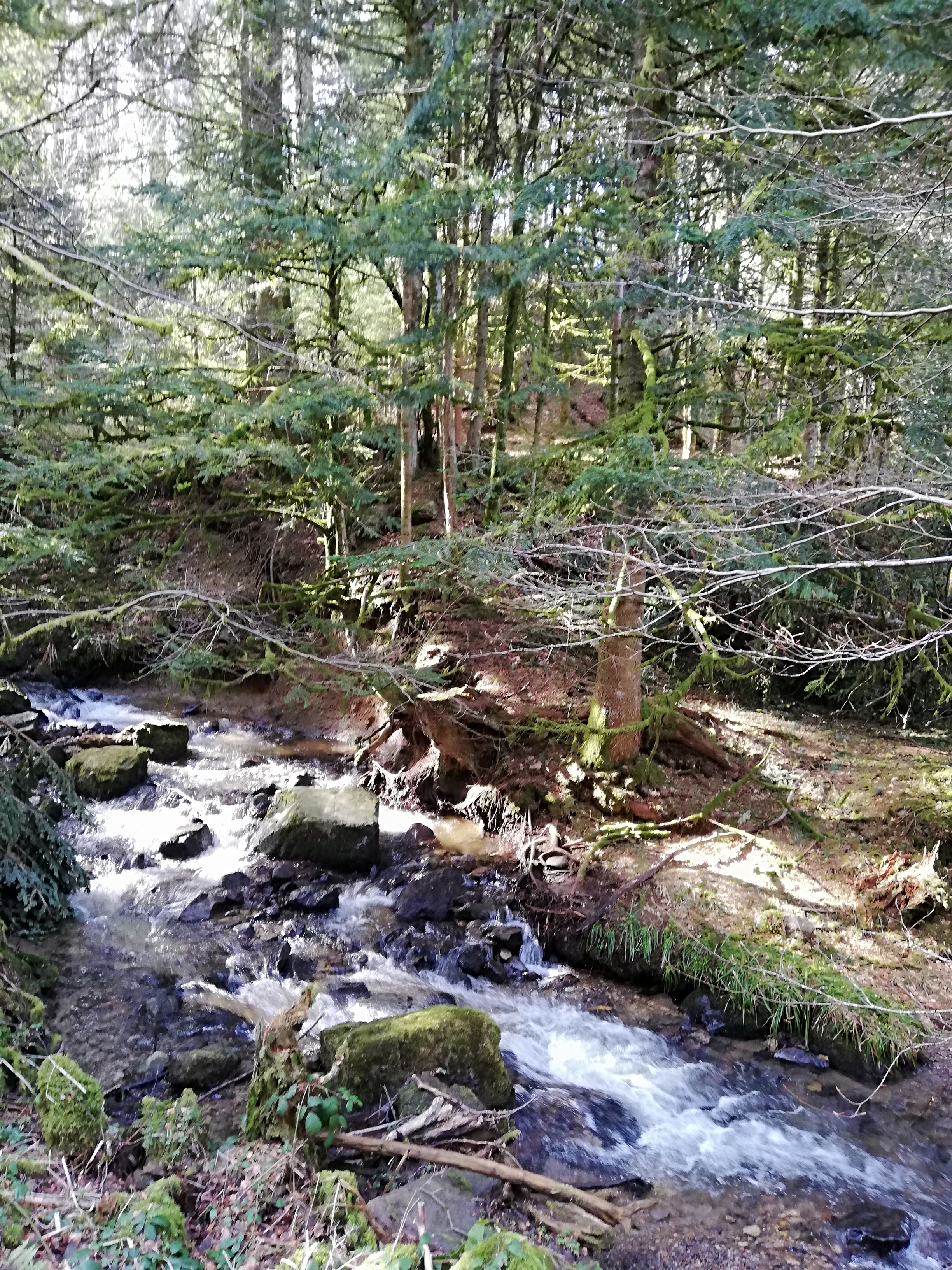 Photo n° 3 de l'avis de Noemie.a fait le 22/02/2021 à 21:43