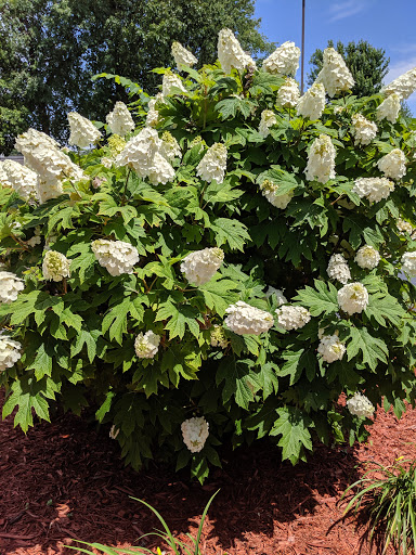 Cable Company «Mediacom Communications Corporation», reviews and photos, 1533 S Enterprise Ave, Springfield, MO 65804, USA