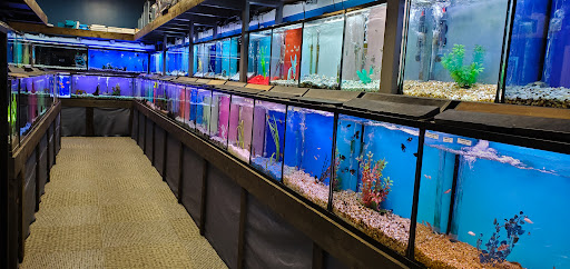 Tropical Fish Store «Sea Level», reviews and photos, 8590 Excelsior Blvd, Hopkins, MN 55343, USA