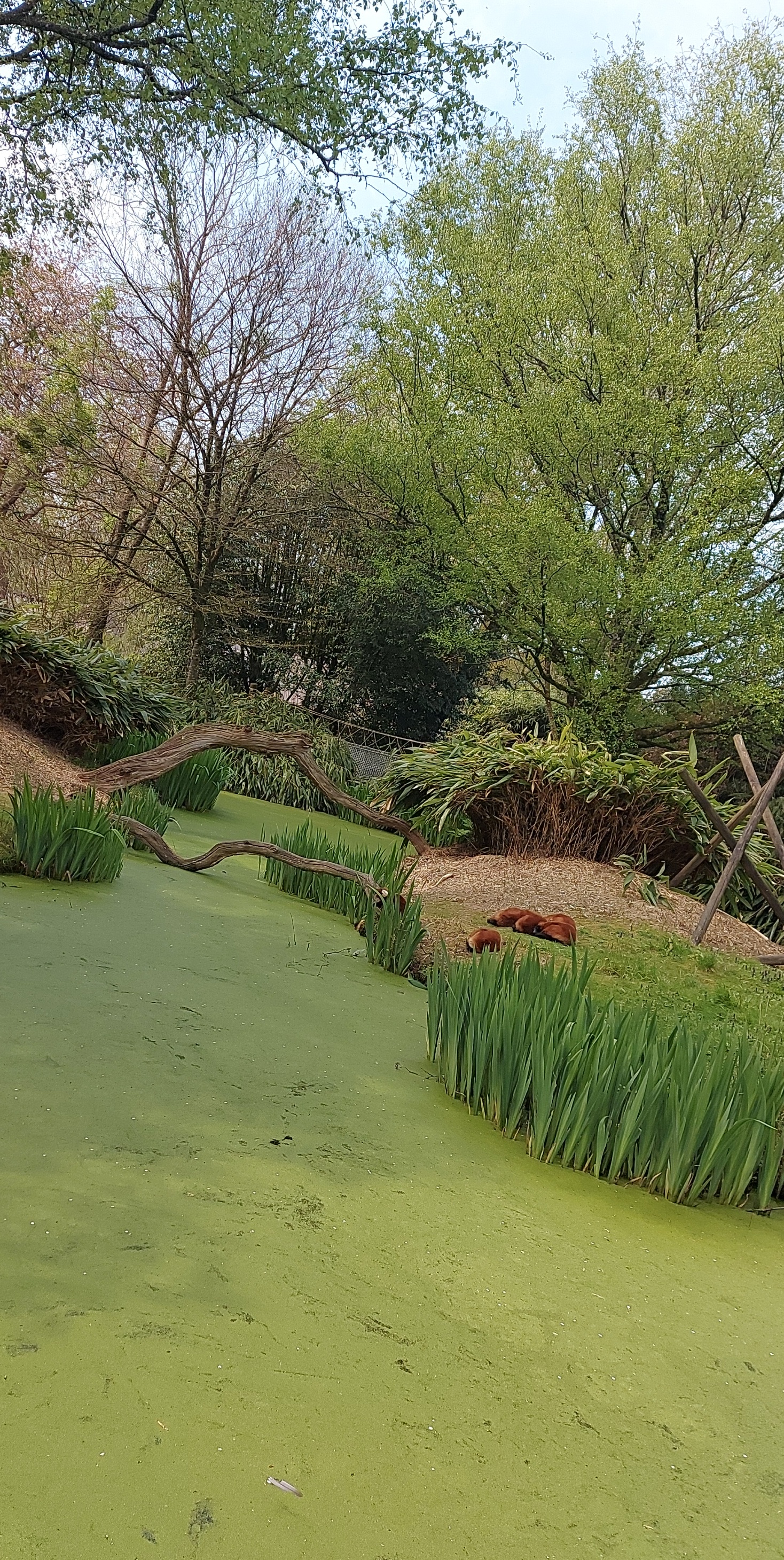 Photo n° 20 de l'avis de Mél.i fait le 21/04/2022 à 16:37