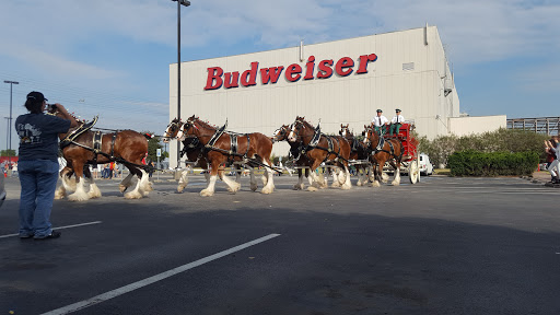 Brewery «Anheuser-Busch», reviews and photos, 775 Gellhorn Dr, Houston, TX 77029, USA