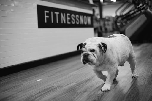 Gym «Fitness Now», reviews and photos, 6801 Rufe Snow Dr #300, Watauga, TX 76148, USA