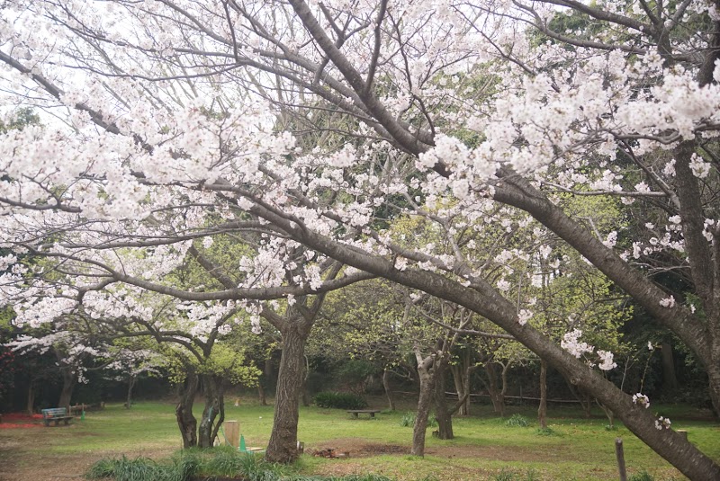 境木 ふれあいの樹林