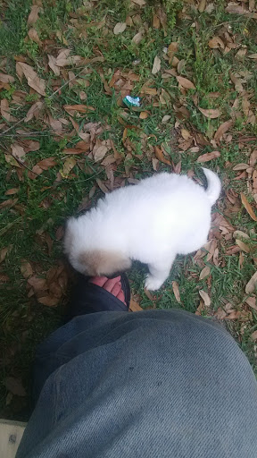 Grocery Store «Lowes Foods on Pine Grove Drive», reviews and photos, 805 Pine Grove Dr, Wilmington, NC 28403, USA