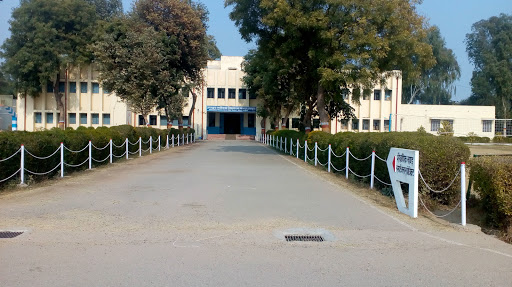 जवाहर नवोदय विद्यालय पावटा जयपुर