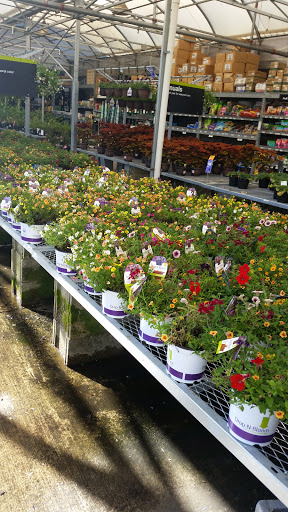 Home Improvement Store «The Home Depot», reviews and photos, 8101 Moores Ln, Brentwood, TN 37027, USA