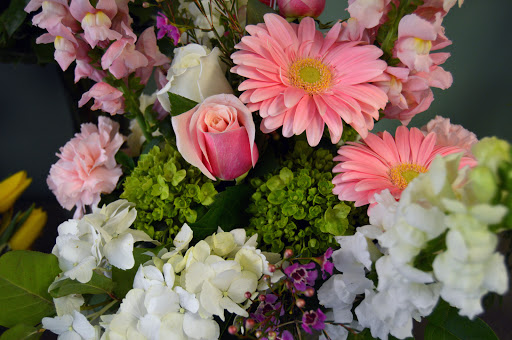 Florist «Nunan Florist & Greenhouses», reviews and photos, 269 Central St, Georgetown, MA 01833, USA