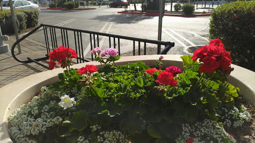 Movie Theater «AMC DINE-IN Esplanade 14», reviews and photos, 2515 E Camelback Rd, Phoenix, AZ 85016, USA