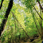Photo n°5 de l'avis de Francesco.e fait le 04/09/2023 à 17:26 sur le  Foresteria del Monastero di S. Scolastica à Subiaco