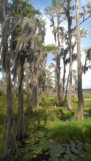 Golf Course «Golden Bear Club», reviews and photos, 6300 Jack Nicklaus Pkwy, Windermere, FL 34786, USA