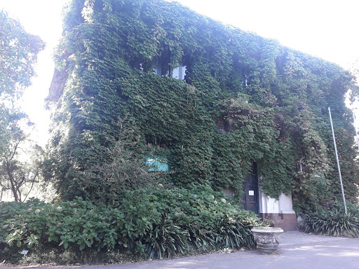 Jardin vertical Montevideo