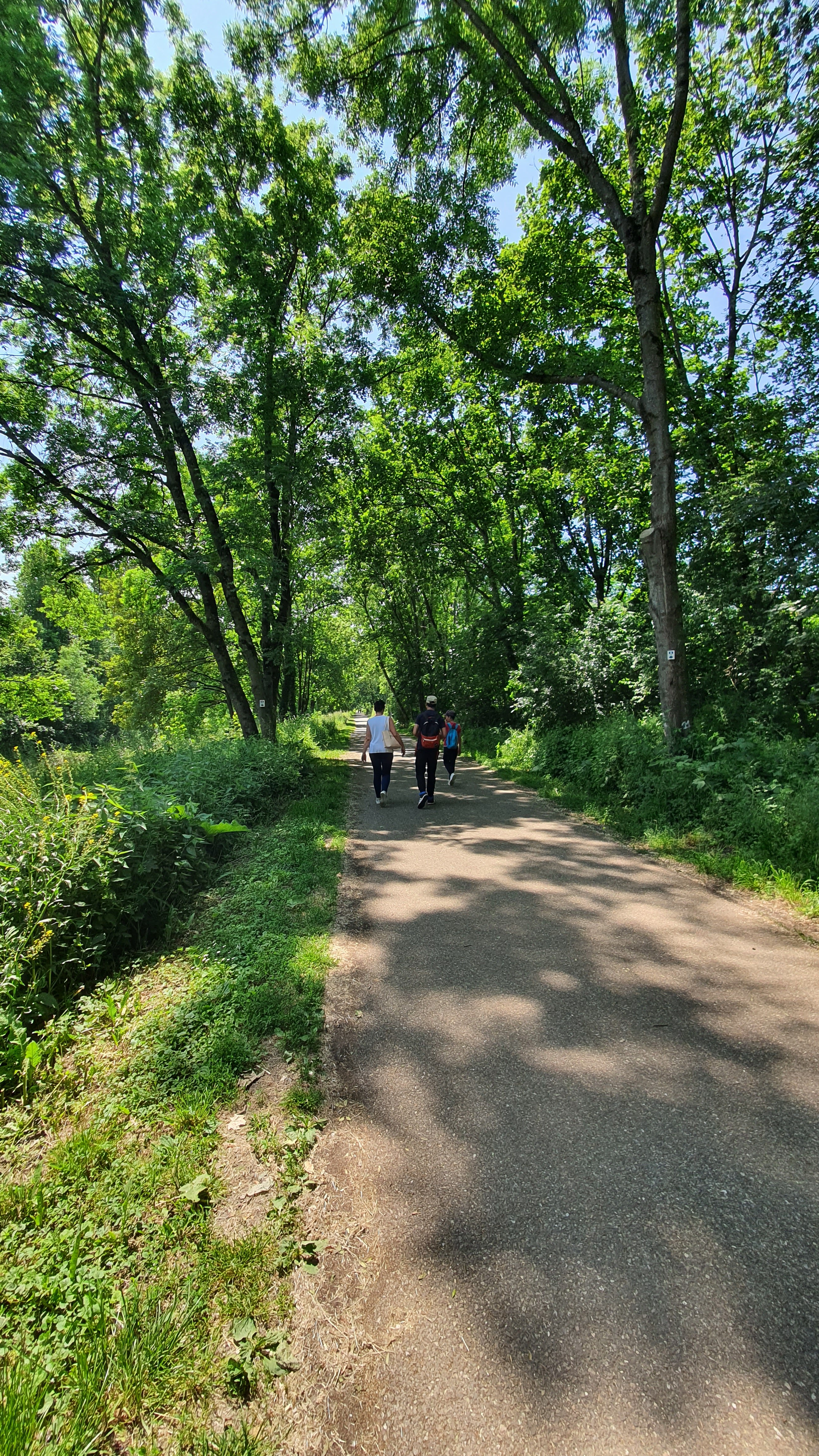 Photo n° 6 de l'avis de ANG.I fait le 31/05/2023 à 15:24