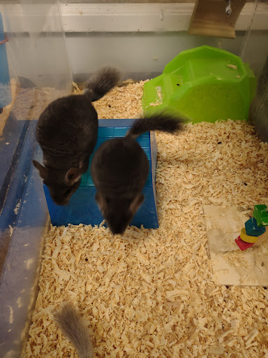 Pet Store «Animal Ark», reviews and photos, 2730 Brookdale Dr, Kingwood, TX 77339, USA