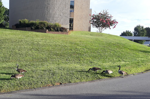 Community College «Asheville-Buncombe Technical Community College», reviews and photos