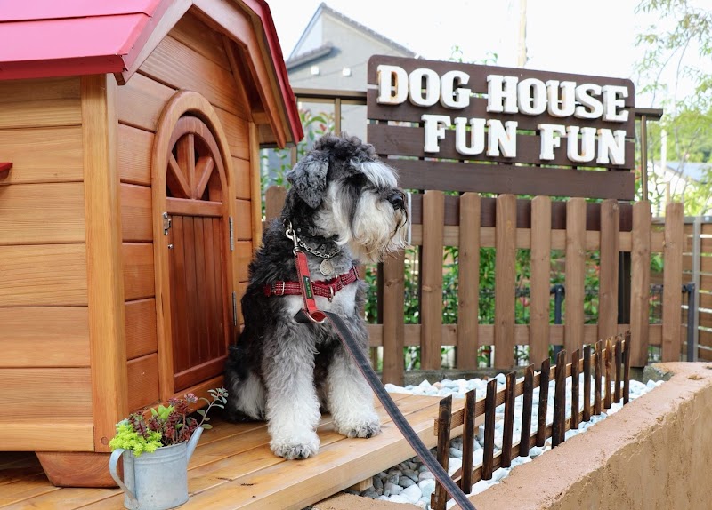 DogHouse FunFun