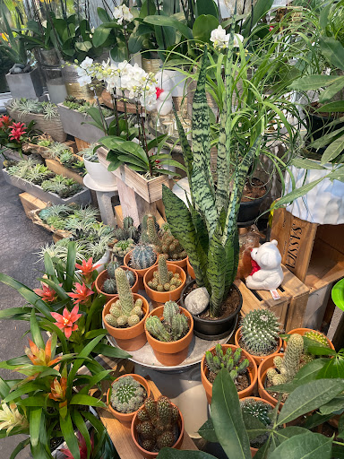 Florist «Epicure Florist», reviews and photos, 1656 Alton Rd b, Miami Beach, FL 33139, USA