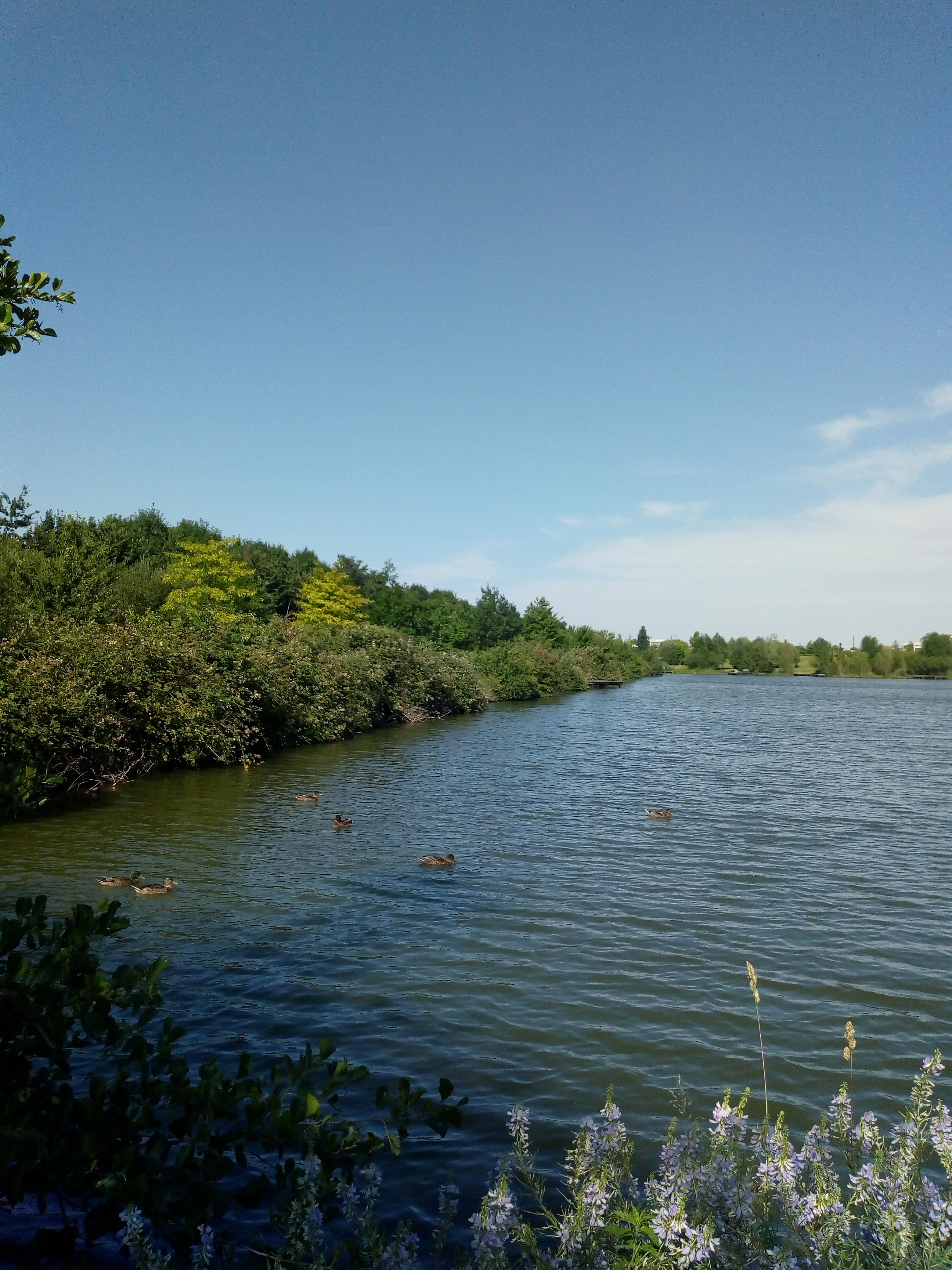 Photo n° 3 de l'avis de Joëlle. fait le 03/07/2019 à 18:00