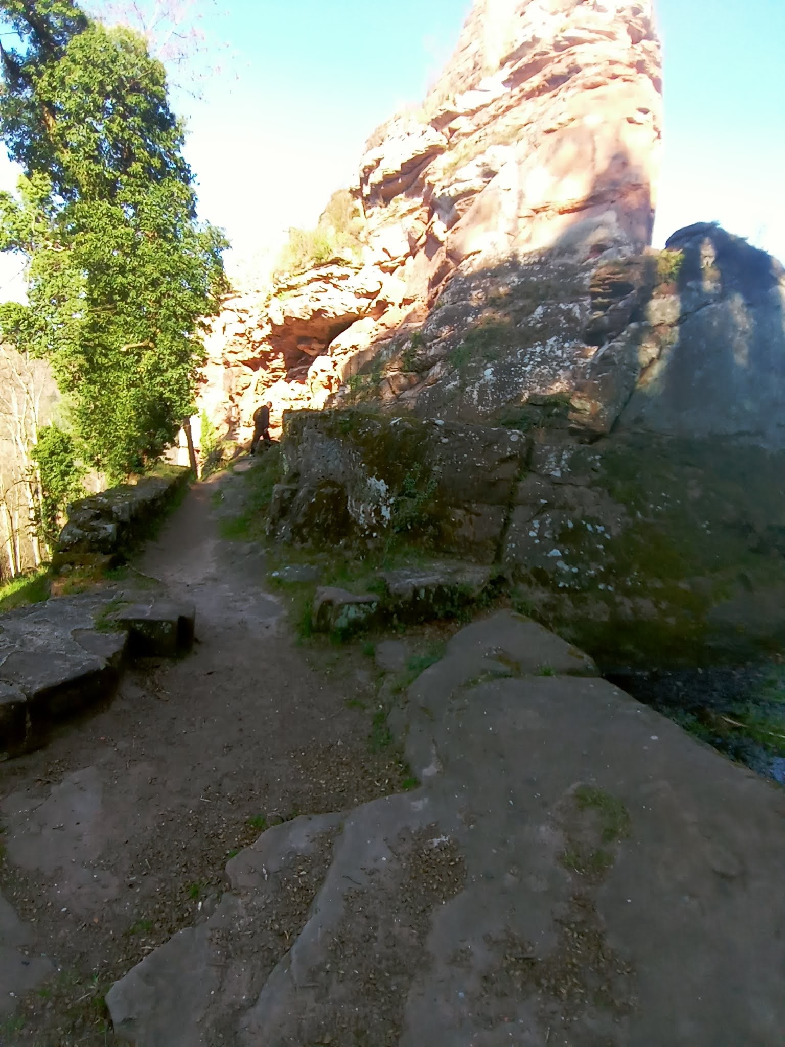 Photo n° 13 de l'avis de Manuela.s fait le 03/04/2021 à 09:38