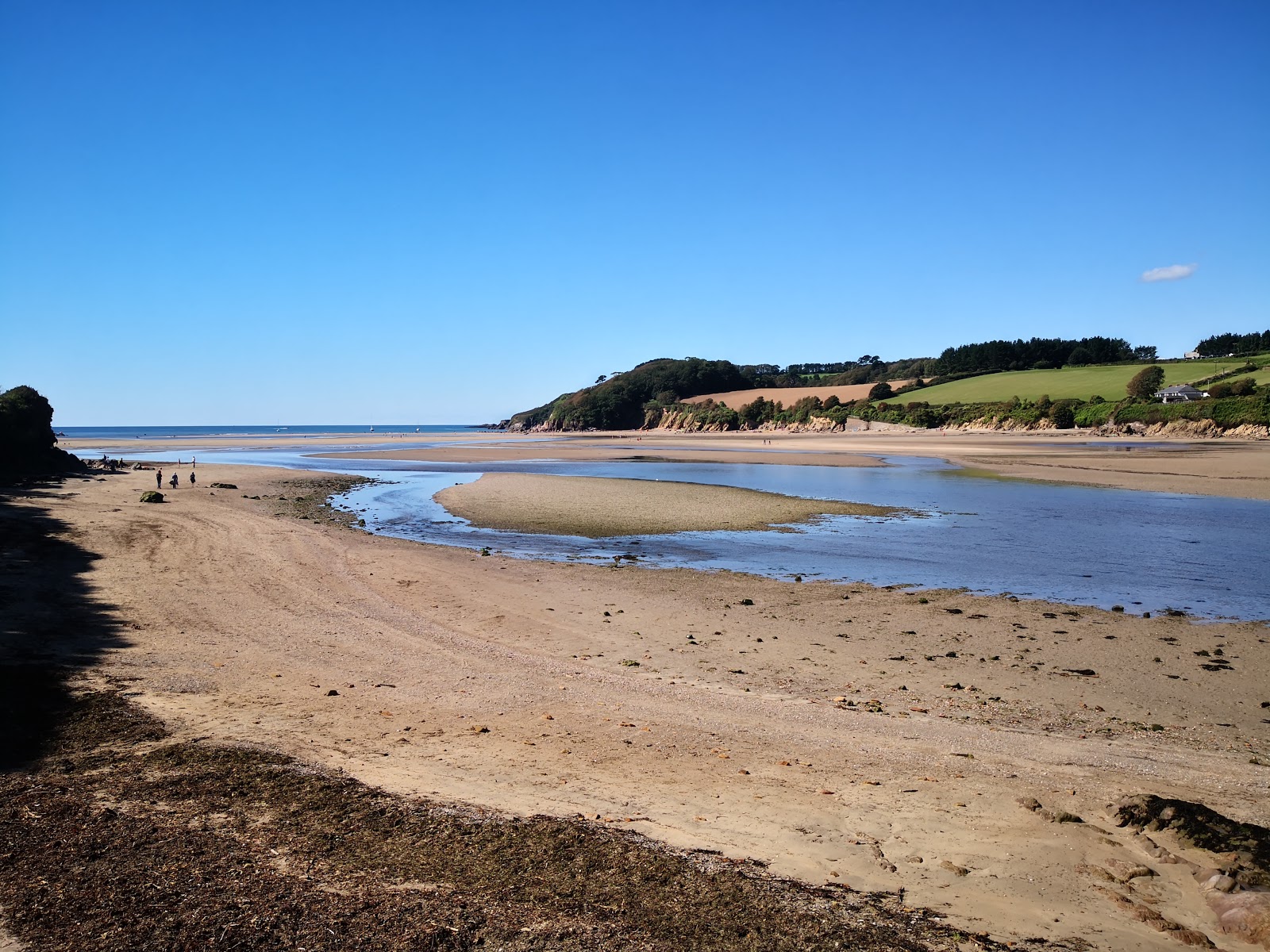 Wonwell beach的照片 带有碧绿色纯水表面