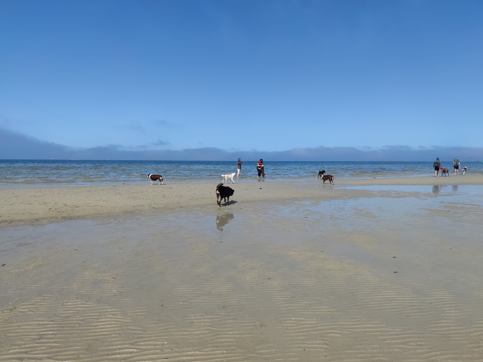 Foto von Altona Beach Dog Off annehmlichkeitenbereich