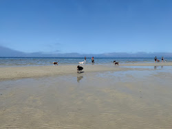 Zdjęcie Altona Beach Dog Off z poziomem czystości wysoki