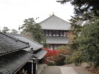 丹楓渓