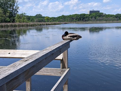 Nature Preserve «Westwood Hills Nature Center», reviews and photos, 8300 W Franklin Ave, St Louis Park, MN 55426, USA