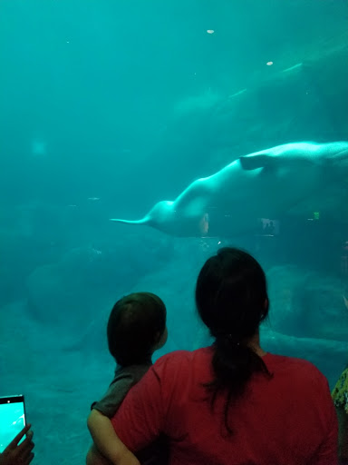 Event Venue «Ventanas», reviews and photos, 275 Baker St, Atlanta, GA 30313, USA