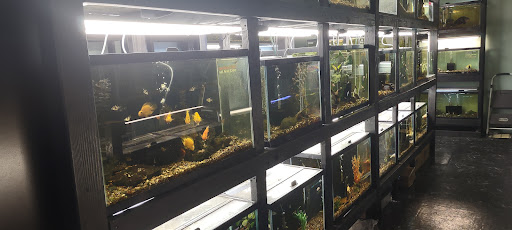 Reptile Store «La Habra Pets», reviews and photos, 1919 W La Habra Blvd, La Habra, CA 90631, USA