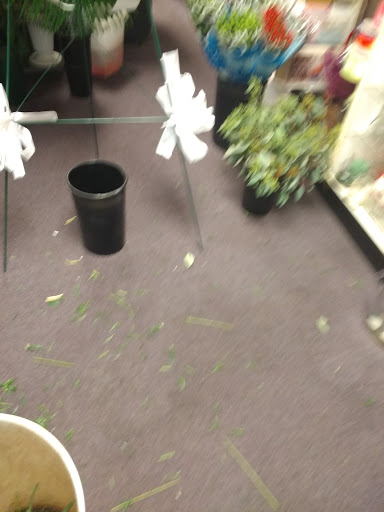 Florist «Highland Flower», reviews and photos, 75 Raritan Ave, Highland Park, NJ 08904, USA