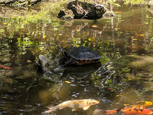 Park «Simpson Park», reviews and photos, 5 SW 17th Rd, Miami, FL 33129, USA