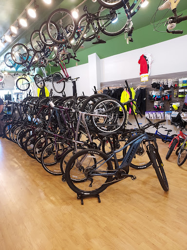 Bicycle Store «Bicycle Boulevard», reviews and photos, 20132 Chagrin Blvd, Shaker Heights, OH 44122, USA